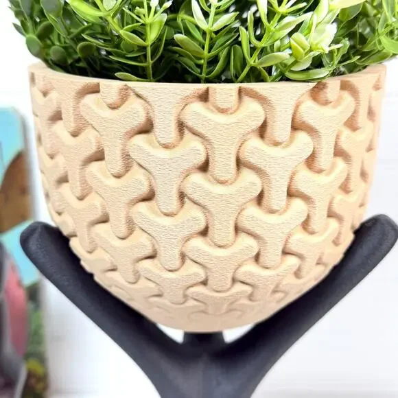 Triova Cachepot, Indoor Tabletop Planter Pot, No Drainage Holes, Elevated Design - Picture 2 of 13